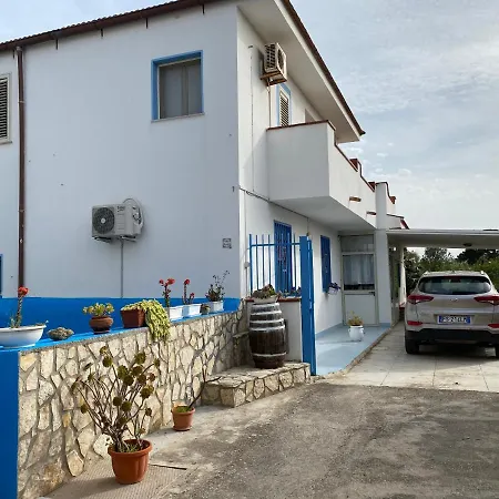 プリシラ チーニジ